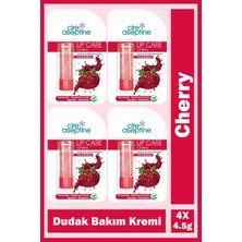 Cire Aseptine Lip Care Cherry Renkli Dudak Bakım Kremi 4,5 gr 4 Adet