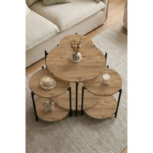 ED Efelez Design Zigon ve Orta Sehpa 4'lü Takım , Metal Ayaklı , Daisy 3+1 Sehpa , Siyah Metal - Atlantik Çam Tabla