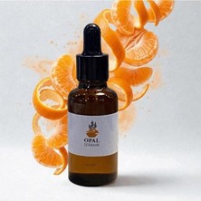 Terra Point Art Mandalina Esansı 50ML