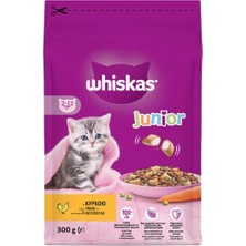 Whiskas 300 gr Kuru Yavru & Tavuklu *6'lı