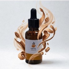 Terra Point Art Sandal Esansı 50ML