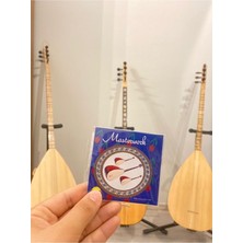 Masterwork Kısa Sap Bağlama Teli