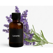Bowie Lavanta Uçucu Yağ Esans Yağı Saf Lavanta Yağı 10 ml Buhar Makinası Kurutma Makinası Için