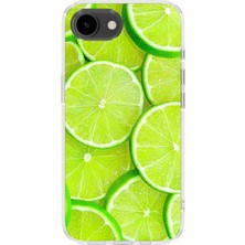 Karsu Design iPhone 17E Uyumlu Baskılı Şeffaf Telefon Kılıfı | Koleksiyon: Fruits And Vegetables