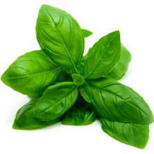 eBarakat 500 gr Fesleğen Çiçeği Reyhan Tohumu