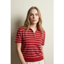 Shophia Polo Yaka Çizgili Kısa Kollu Kadın Triko Tişört