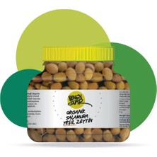 Rengin Suar Organik Salamura Yeşil Zeytin (1200 G) - 2025
