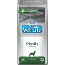 Vetlife Obesity Köpek Maması 12KG