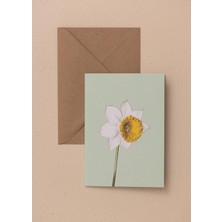 The Mia Art Line Mini Tebrik Kart Seti Daffadil 10 x 14 cm