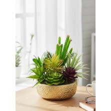 Nettenevime Yapay Çiçek Kaktüs Sukulent Aranjmanı Gold Altın Renk Seramik Saksıda 10ADET Karışık Model Skulent