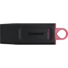 Kaia Life Kingston 256GB Usb3.2 Gen1 Datatraveler Exodia (Black + Pink)