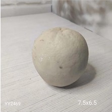 Yoyomold YY2469 Portakal Silikon Kalıp