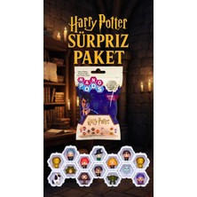 Datatek Harry Potter Sürpriz Figür Seti Çocuklar ve Koleksiyonerler Için 2 Adet