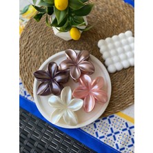 4'lü Set Pastel Mat Renk Lotus Toka