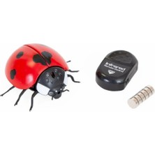 Datatek Oyuncak Işıklı Uğurböceği