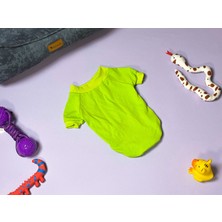 Patilemece Yeşil Köpek Sweatshirt