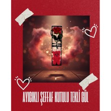 Neonova Ayıcıklı Şeffaf Kutulu Tekli Gül