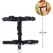 BloominBag Solid Color H-Type Harness