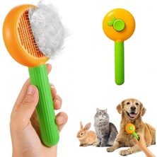 Aslan Pet Arkdan Basmalı Kedi Köpek Tüy Toplama Tarağı Masaj Tarağı M