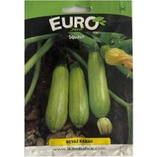 Euro 1 Adet Beyaz Kabak Tohumu
