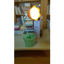 Famemus Accessory Saksıda Çicek Görünümlü Masa Üzeri Gece Lambası Boyut 27CM