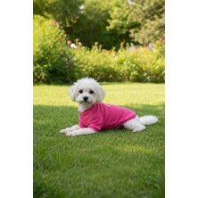 Patilinka Kedi - Köpek Kaşkorse Esnek Mevsimlik Ceket - Mont - Yağmurluk - Yelek - Kıyafet