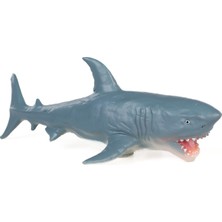 Can Oyuncak Kutuda  Deniz Hayvanları - Gri