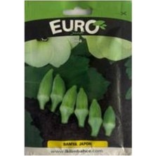 Euro 1 Adet Japon Bamya Tohumu
