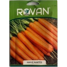 Rovan 1 Adet Havuç Tohumu