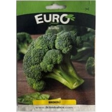Euro 1 Adet Brokoli Tohumu