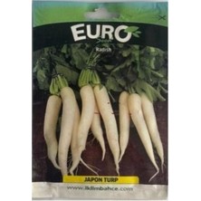 Euro 1 Adet Japon Turpu Tohumu