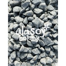 Ulusoy Botanik Siyah Dolomit Taş / Bazalt Taşı / Dekoratif Siyah Taş / 1-2 cm / 10 kg