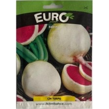 Euro 1 Adet Çin Tupu Tohumu