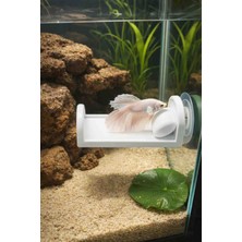 Mdizmir Beta Dinlenme Alanı