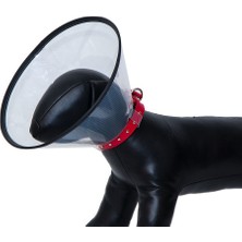 Colezium Kedi Köpek Yakalığı 10 cm