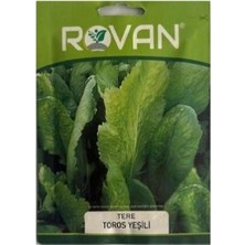 Rovan 1 Adet Tere Tohumu