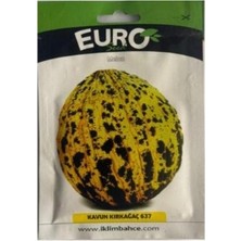 Euro 1 Adet Ala Kavun Tohumu