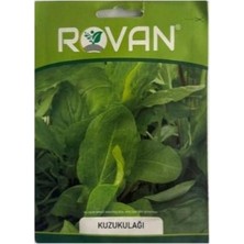 Rovan 1 Adet Kuzu Kulağı Tohumu