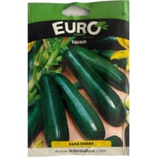 Euro 1 Adet Siyah Kabak Tohumu
