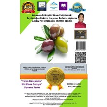 Volkan Ziraat Mühendislik Cert Kalamata Manzalinna Iri Çeşit Zeytin Fidanı Yetiştirmek, Ilaçlama, Budama, Aşılama Adan Z'ye