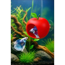 Mdizmir Beta Dinlenme Alanı