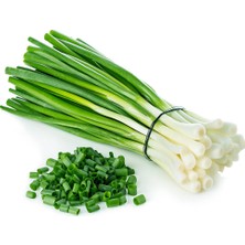 eBarakat 500 gr Yeşil  Soğan Tohumu (+-130.000 Adet Tohumu)