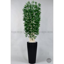 Biçiçek Yapay Bambu Ağacı 6 Dallı Yoğun Yapraklı 220 cm