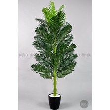Biçiçek Yapay Areka Ağacı Tek Gövdeli 160 cm