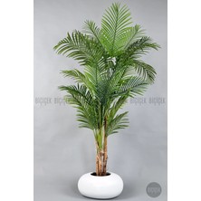Biçiçek Yapay Areka Ağacı 220 cm Fiber Saksıda