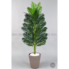 Biçiçek Yapay Areka Ağacı 160 Luna Saksıda