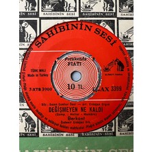 Berkant  -  Sana Gönül Verdim Diye /  Değişmeyen Ne Kaldı   ( 45 Lik Yerli Plak -Dönem Baskı)