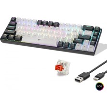 Pileli Store Pilelistore Gaming Mekanik Klavye Tri Mod Rgb Red Switch - Beyaz Siyah MF1703W
