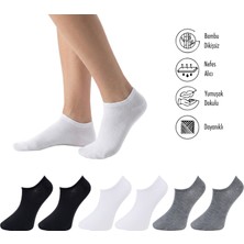 Lion Monroe Saf Bambu Kadın Sneaker Siyah Çorap Dikişsiz Görünmez Bilekte Spor Çorap Premium 6'lı L5952AZNB Softaura