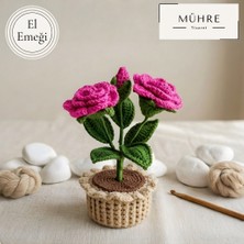Saksıda Gül Demeti Hediyelik %100 Pamuklu Organik Amigurumi Örgü Doğumgünü Hediye